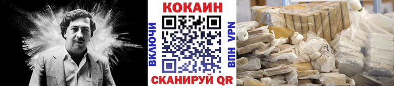 Кокаин Fish Scale  MEGA маркетплейс  Николаевск 