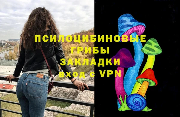 спиды Алзамай