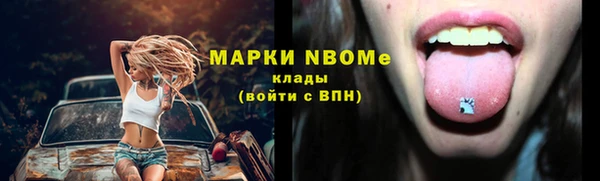 шишки Алексин