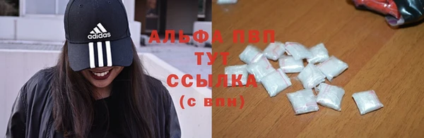 спиды Алзамай