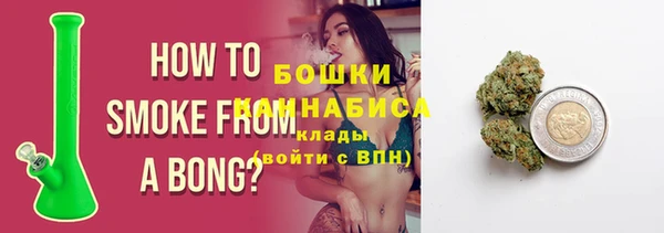 шишки Алексин
