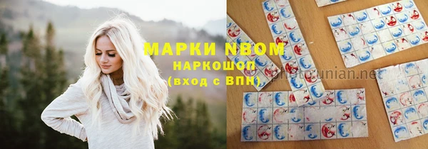 шишки Алексин