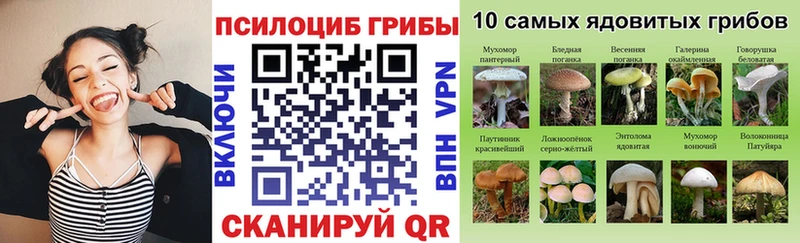 Псилоцибиновые грибы Psilocybe  мега ССЫЛКА  Николаевск 